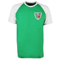 Mexico Raglan Sleeve T-Shirt