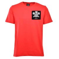 Wales Feathers 1905 T-Shirt